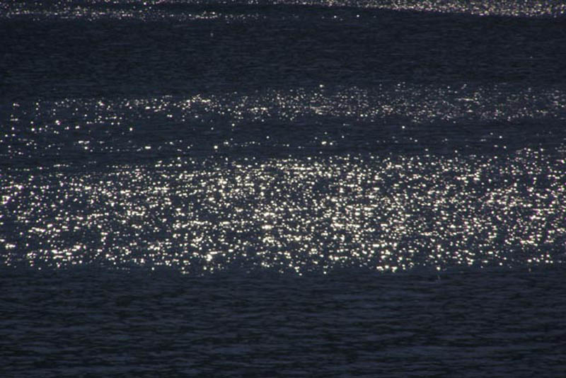 miroslavVajdic (132)